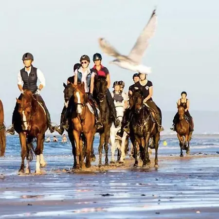 Quiet With Balcony Near The Sea דירה וויסטרהאם