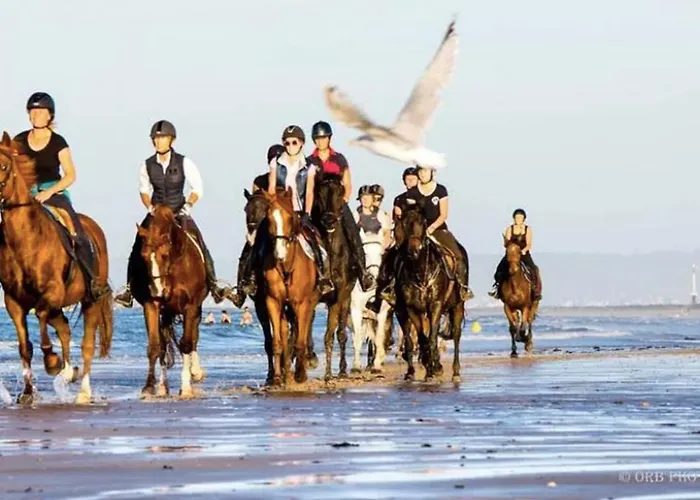 Quiet With Balcony Near The Sea Appartement Ouistreham